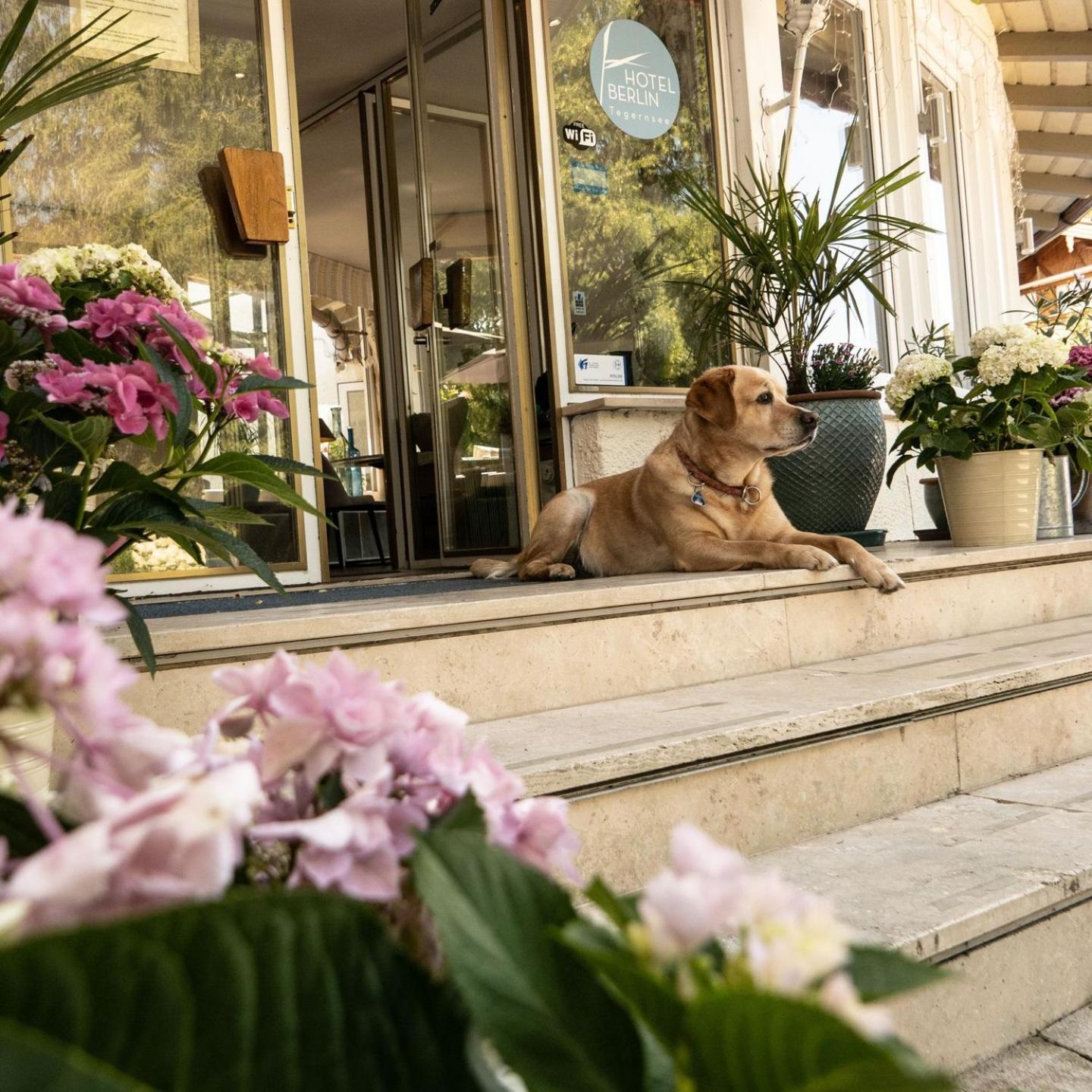 Hotel Berlin Tegernsee Rotta Εξωτερικό φωτογραφία