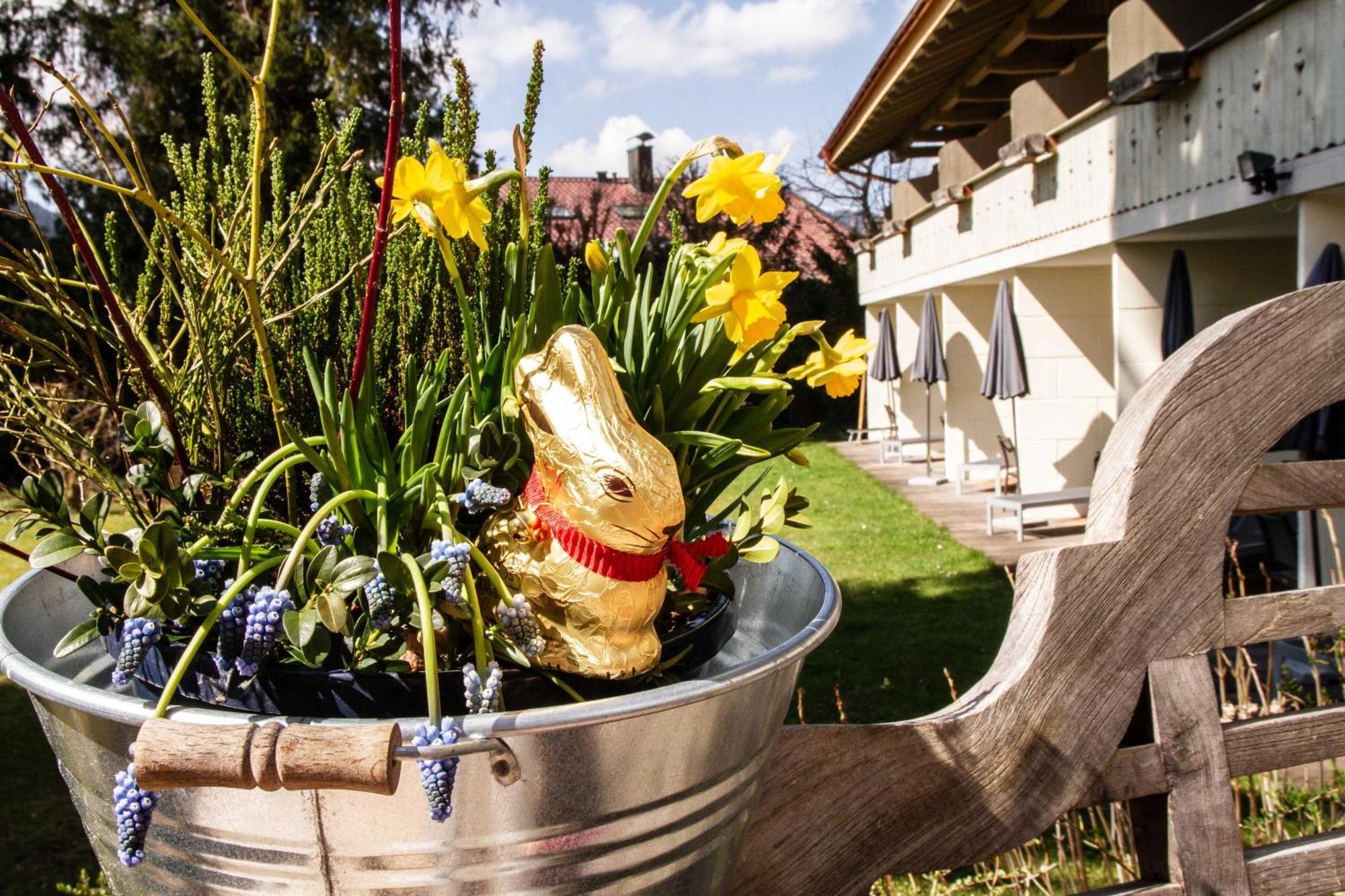 Hotel Berlin Tegernsee Rotta Εξωτερικό φωτογραφία